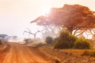 Poster Dry African landscape with dirt road at sunset © Sergey Novikov