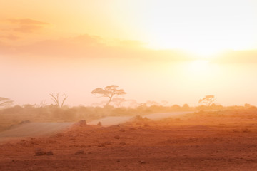 Fototapeta na wymiar Road through African savannah in misty light