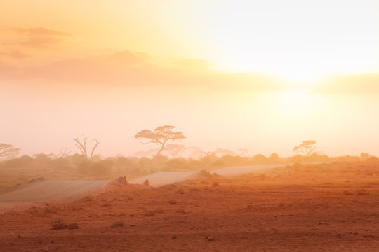 Road through African savannah in misty light