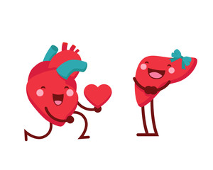 Healthy Happy And Cute Human Anatomy Illustration Cartoon - Healthy Romantic Heart Giving Out Love To Liver