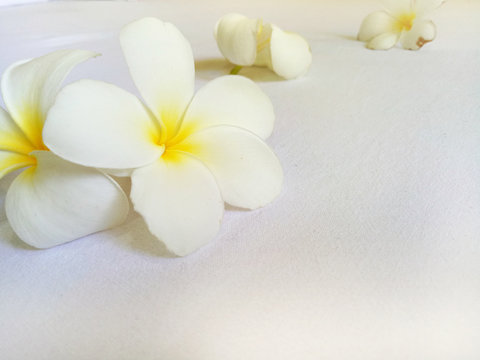 White Flower