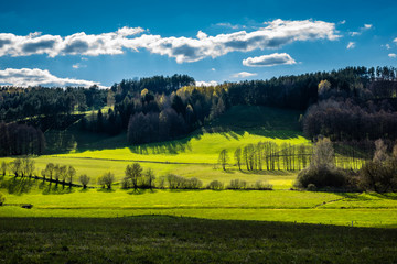 Spring view of the meadow and trees in Suwalski landscape park, Podlasie, Poland