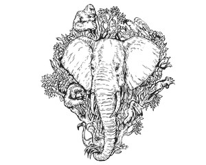 Vintage Detail Realistic Hand Drawing Save Protected Animal Forest Concept - Elephant © naulicreative