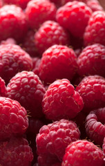 Raspberries closeup group on dark background in studio, selective focus