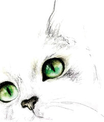 
green cat eyes