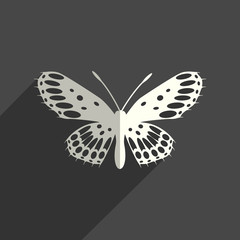 Butterfly flat icons with of shadow. Vector illustration