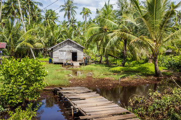  house made of straw and wood surrounded by palms on sunny day