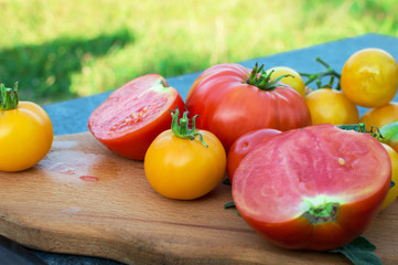 Yellow and red tomatoes on the board