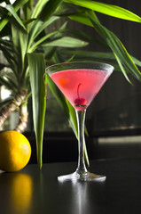 Cocktail cosmopolitan on black table with palm tree on background