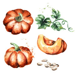 Pumpkins set. Watercolor hand-drawn illustration