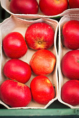 Red apples in paper trays