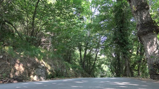 Natural landscape of mountain Asturias Spain