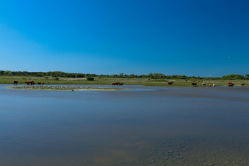 Baie de somme