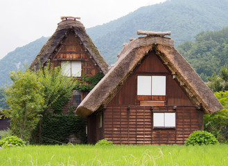Fototapeta na wymiar Gassho-zukuri house , Historic Village of Shirakawa-go in summer 
