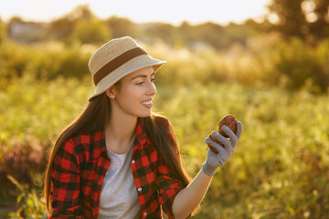 woman gardener with potatoes