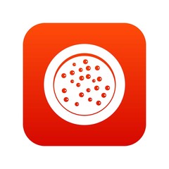Peppercorns on a plate icon digital red