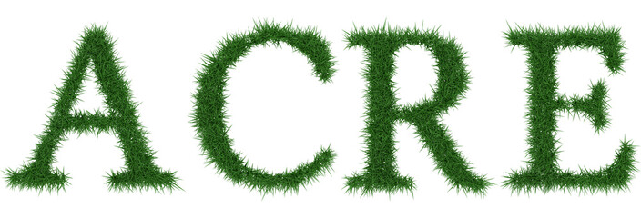 Acre - 3D rendering fresh Grass letters isolated on whhite background.