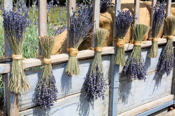 Acrylic prints Lavender Bouquets de lavande en Provence