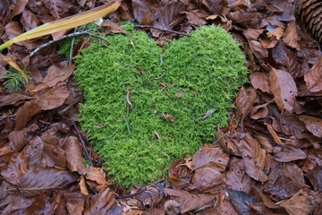 Coeur de mousse