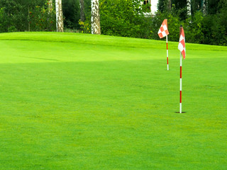 Obraz premium top view flat lay of golf balls on grass background, the concept of a sport for the rich, luxury, fitness, game
