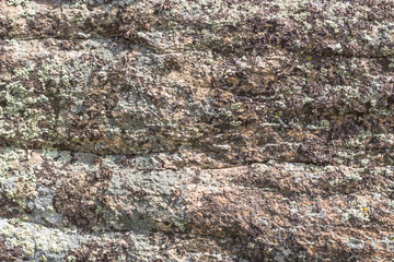 Old gray brown stone wall with green moss texture background