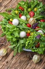 Spicy spring vegetable salad