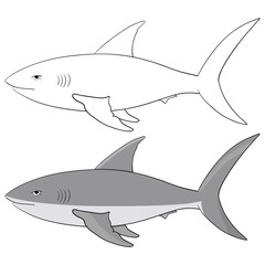 Shark. Outline and gray vector illustration isolated on white background
