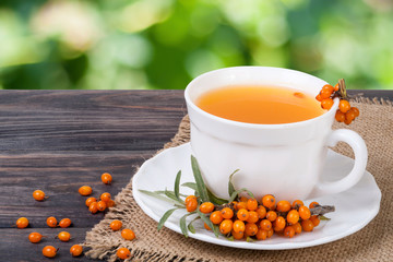 Tea of sea-buckthorn berries with honey on wooden table blurred garden background