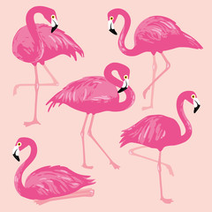 Vector set with pink flamingos. Hand Drawn illustration