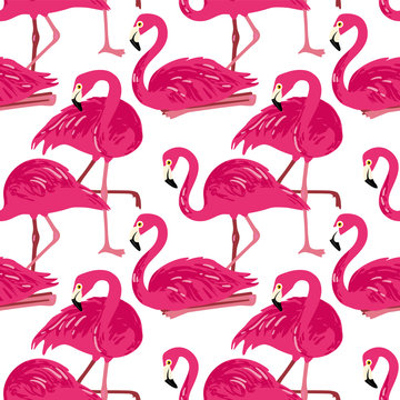 Vector seamless pattern with flamingos