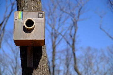Unusual birdhouse on the trunk of a tree against a blue sky.