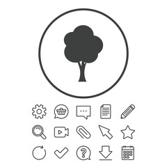 Tree sign icon. Forest symbol.