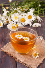 Herbal tea with fresh chamomile flowers on black wooden background