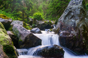 flow of picturesque mountain stream in the gorge