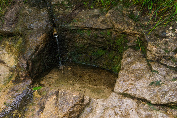 Water spring in the mountains