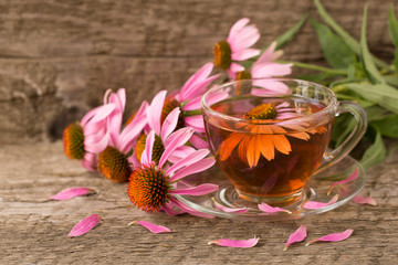 Cup of echinacea tea on old wooden table