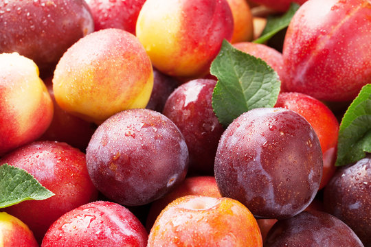 Fresh peaches and plums