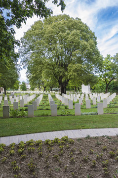 Rows of white headstones at the British Indian Army Cemetery of war placed in Forli, Italy (second world war).