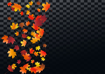 Abstract autumnal background with flying maple leaves. Fall .