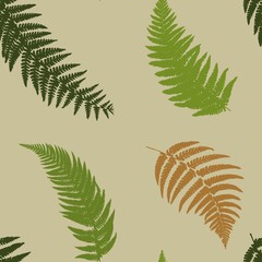 Seamless pattern from forest ferns. Vector illustration.