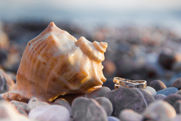 Pair of wedding gold rings near seashell on a stone beach