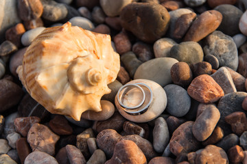 Pair of wedding gold rings near seashell on a stone beach. View from above