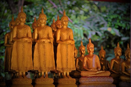 Low light mode for raw of Gold Buddha Statues in Thailand, Asia