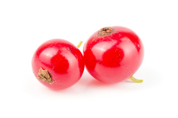 Red currant berry isolated on white background