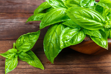 Basil fresh aromatic herb spice for italian vegetarian salads on a wooden dark background in rustic style with copy space