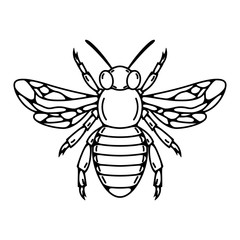 Bee illustration isolated on white background.