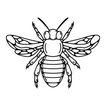 Bee illustration isolated on white background.