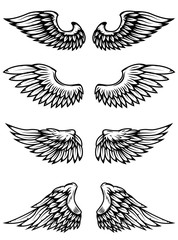 Set of wings isolated on white background.