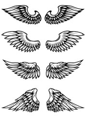 Set of wings isolated on white background.