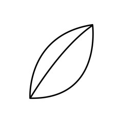 leaf icon over white background vector illustration